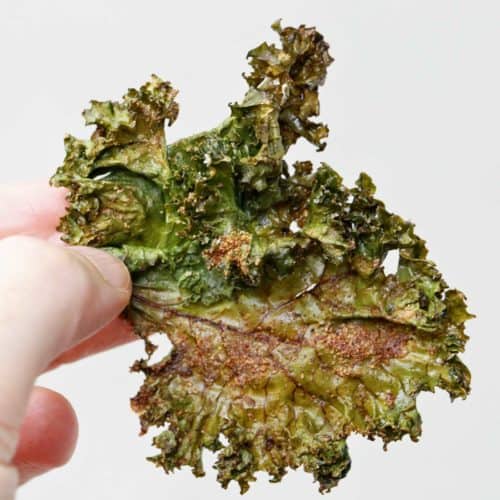 A hand holding up a kale chip.