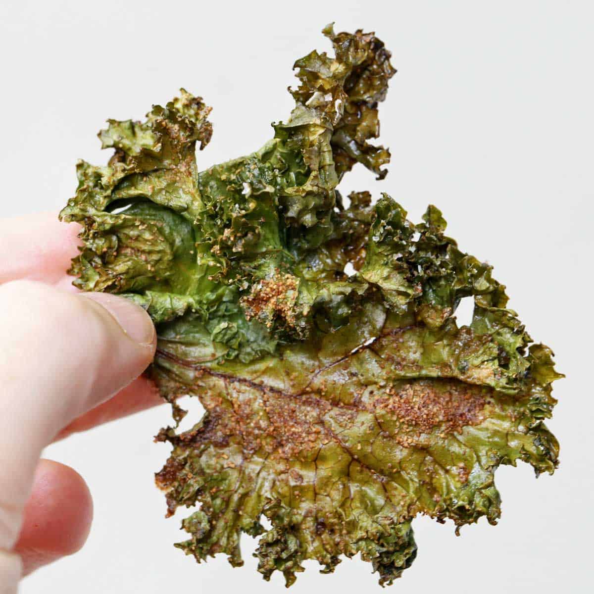 A hand holding up a kale chip.