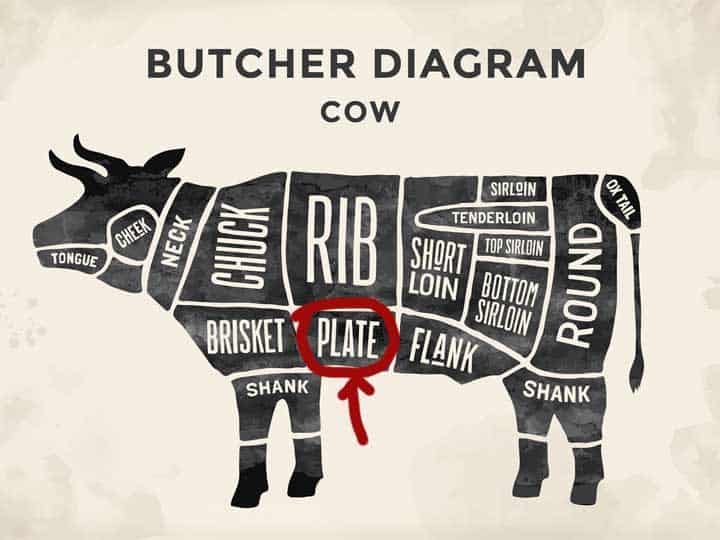 A cow illustration showing where the skirt steak comes from