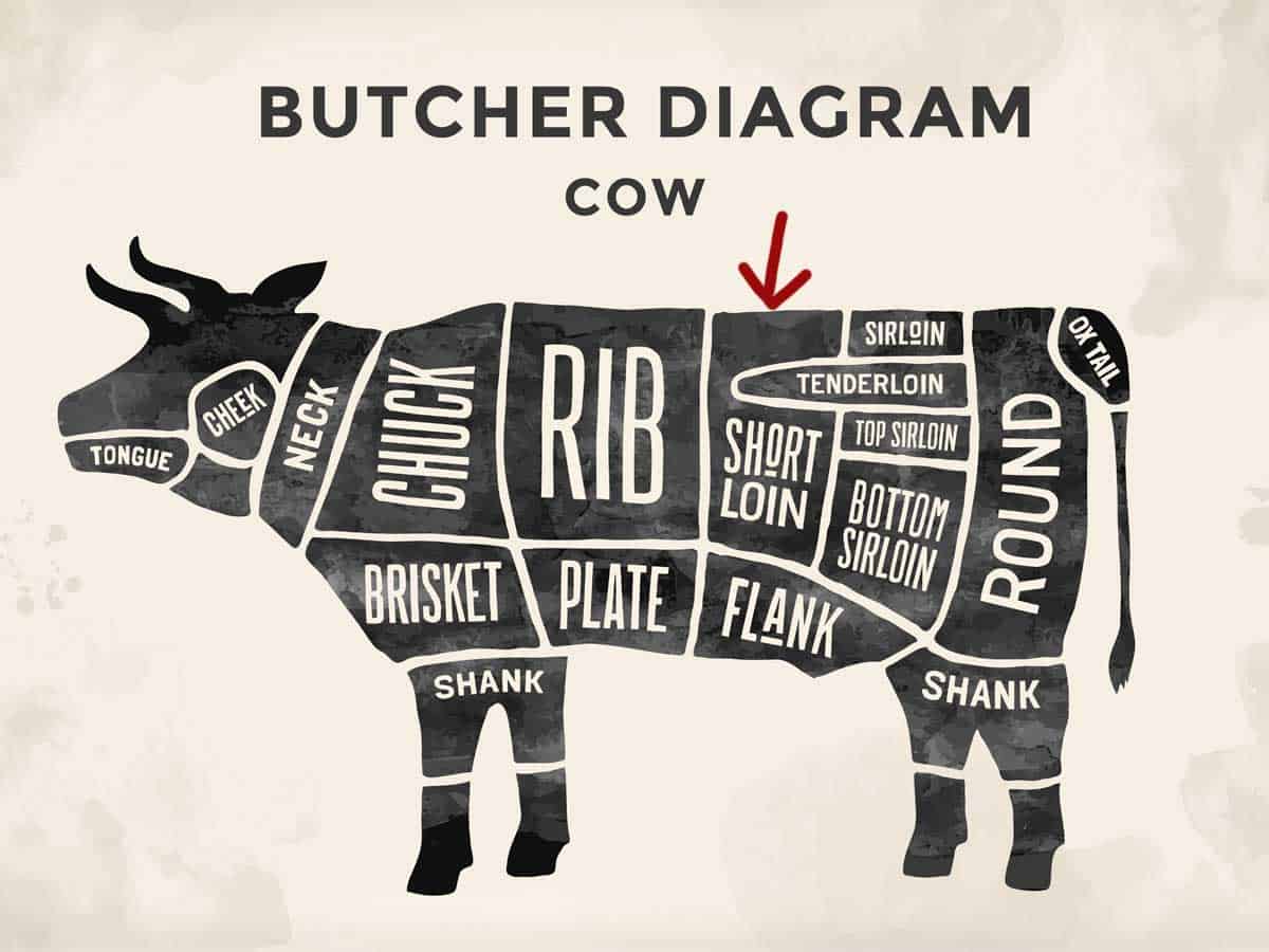 A diagram of cow parts showing where New York strip comes from