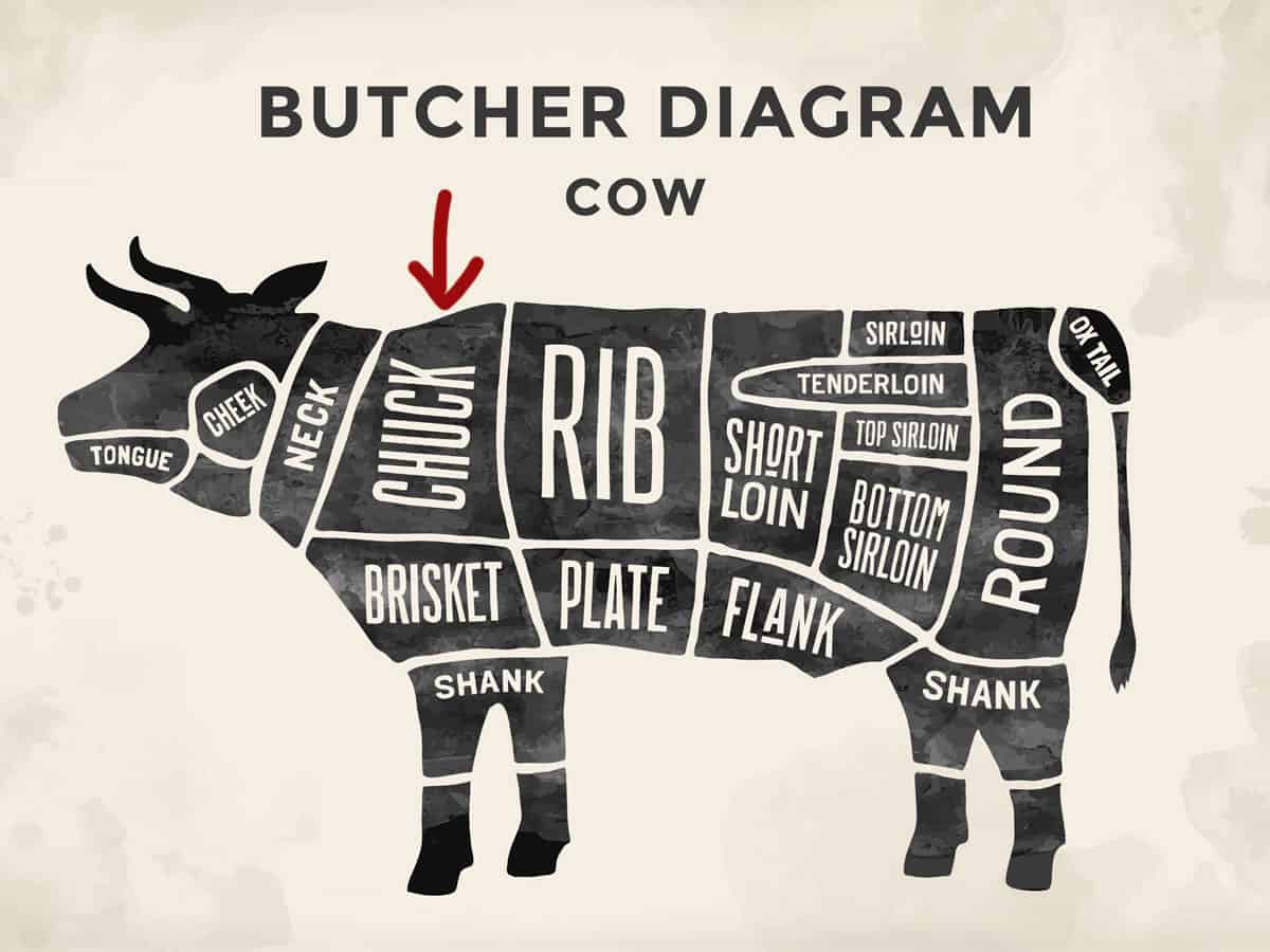 Cow parts diagram showing where the chuck roast is located.