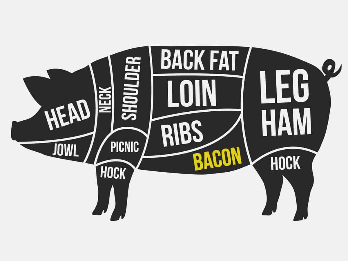A diagram showing pork cuts.