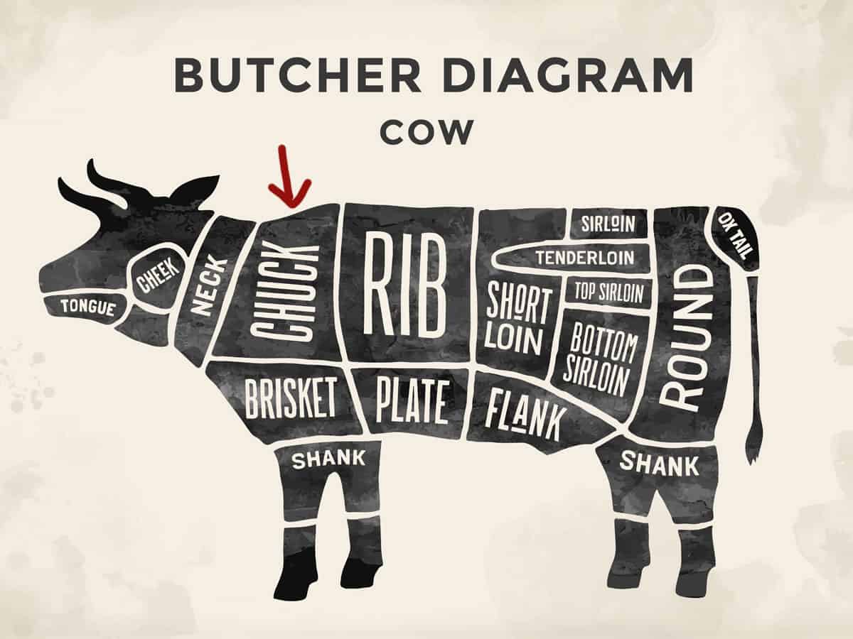 A diagram showing cow parts.