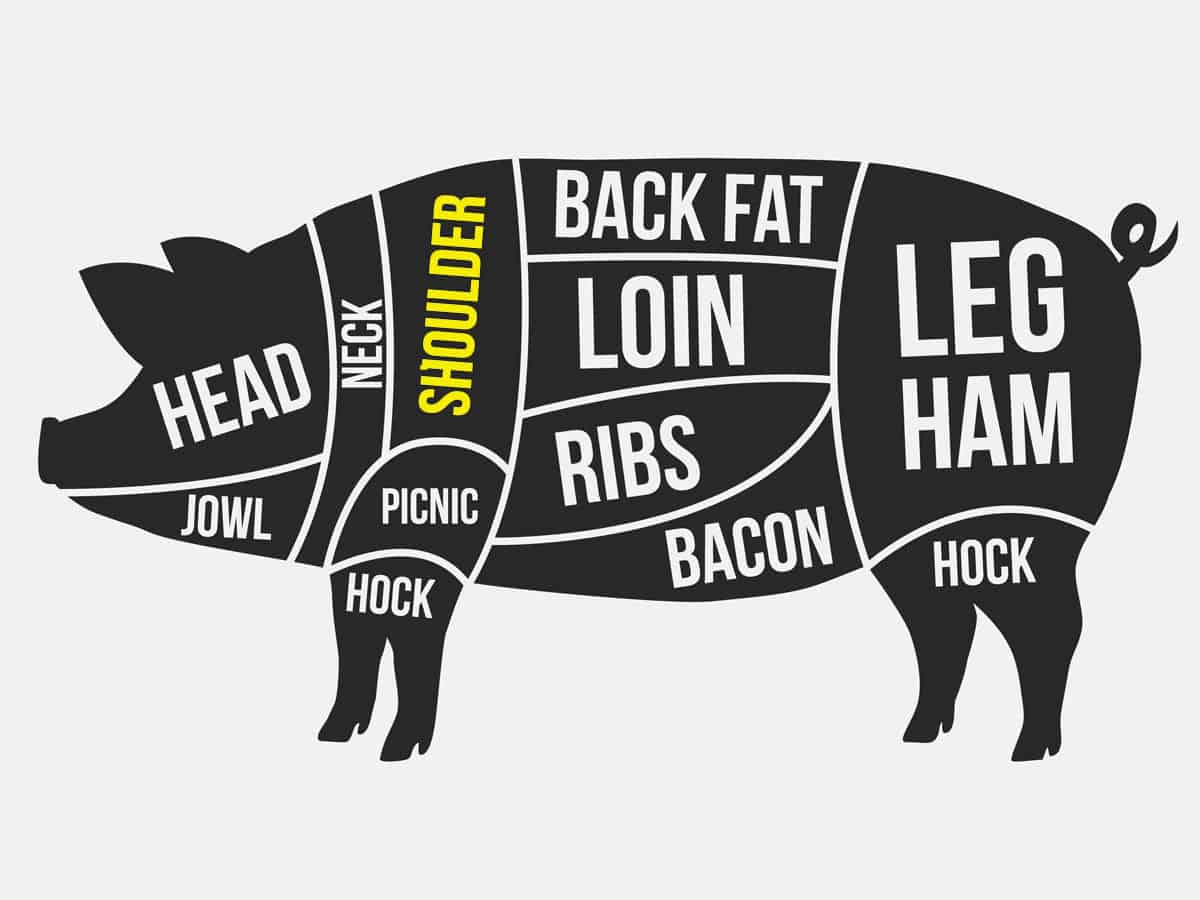 A pig parts diagram showing the pork shoulder.