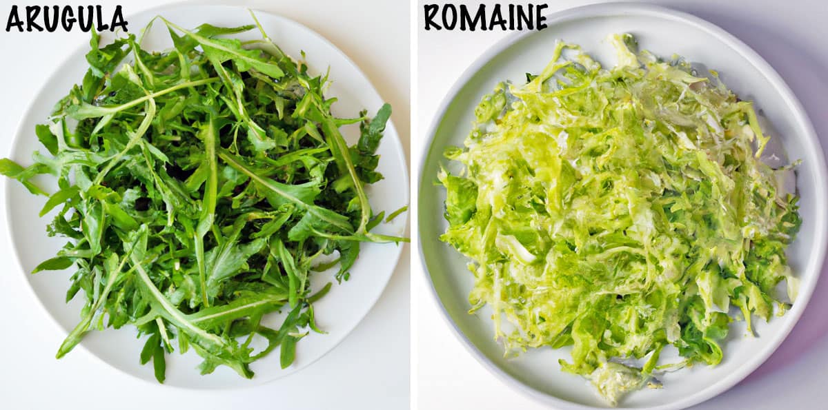 Arugula vs lettuce.