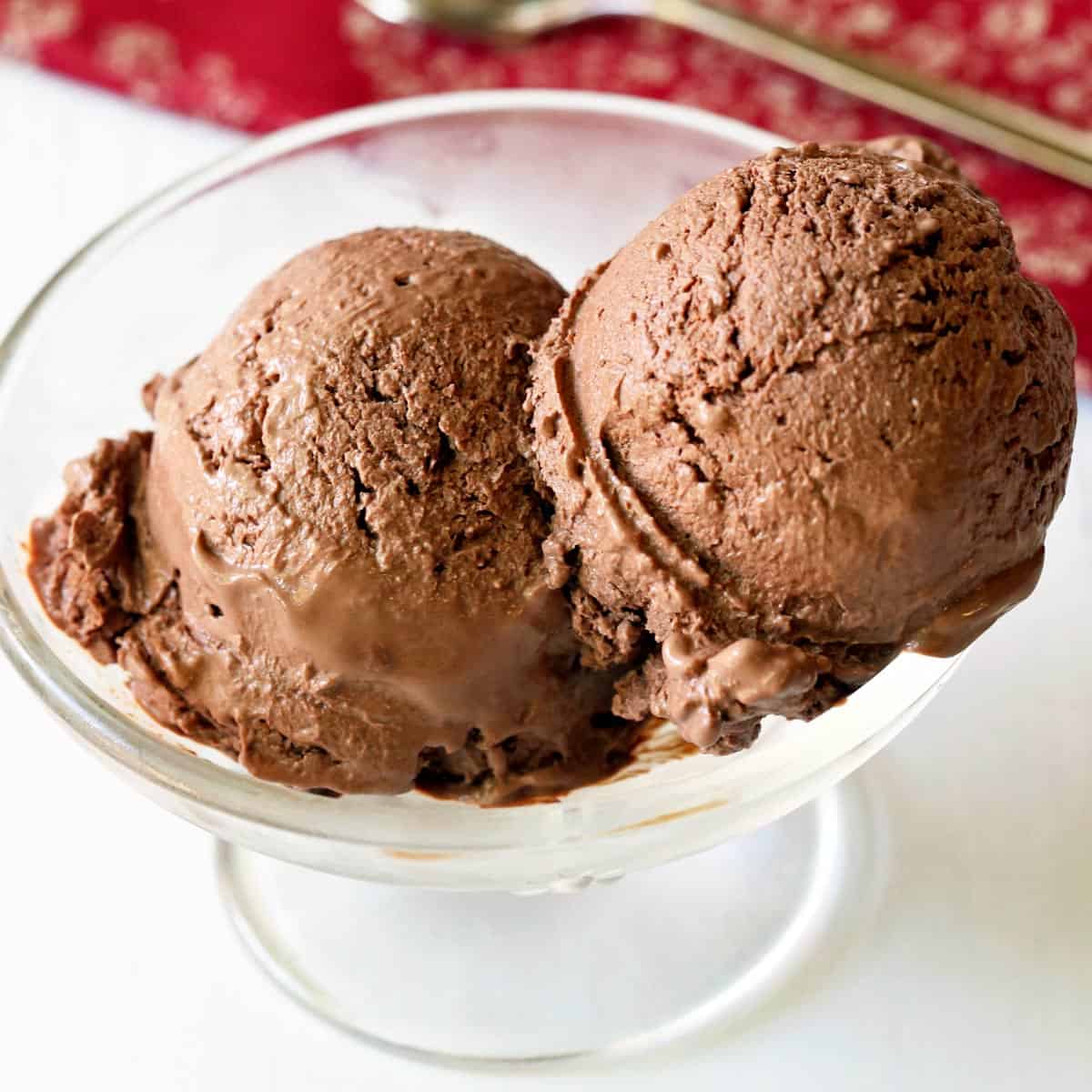 https://healthyrecipesblogs.com/wp-content/uploads/2020/08/chocolate-frozen-yogurt-featured-2022.jpg