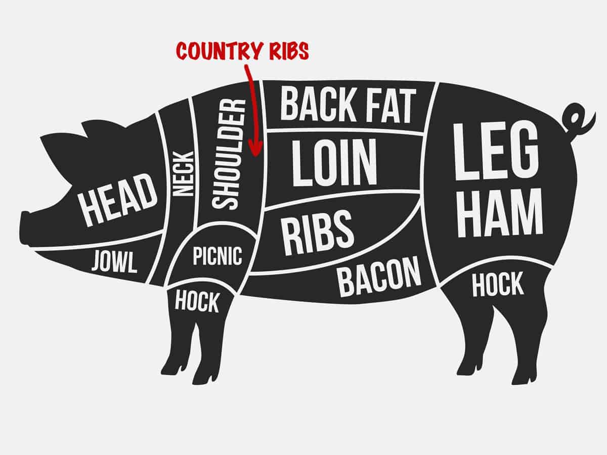 A diagram of pig parts.