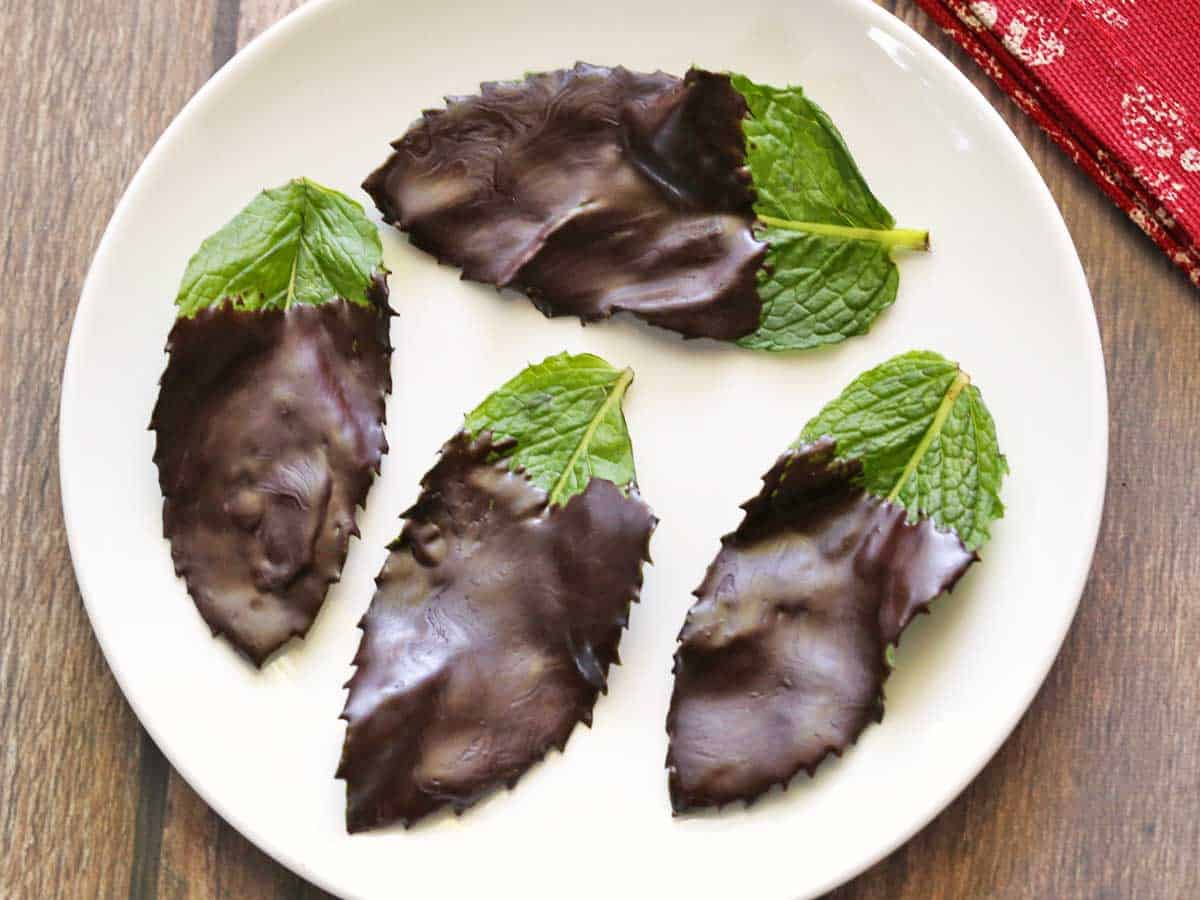 Mint leaves covered in chocolate, served on a white plate.