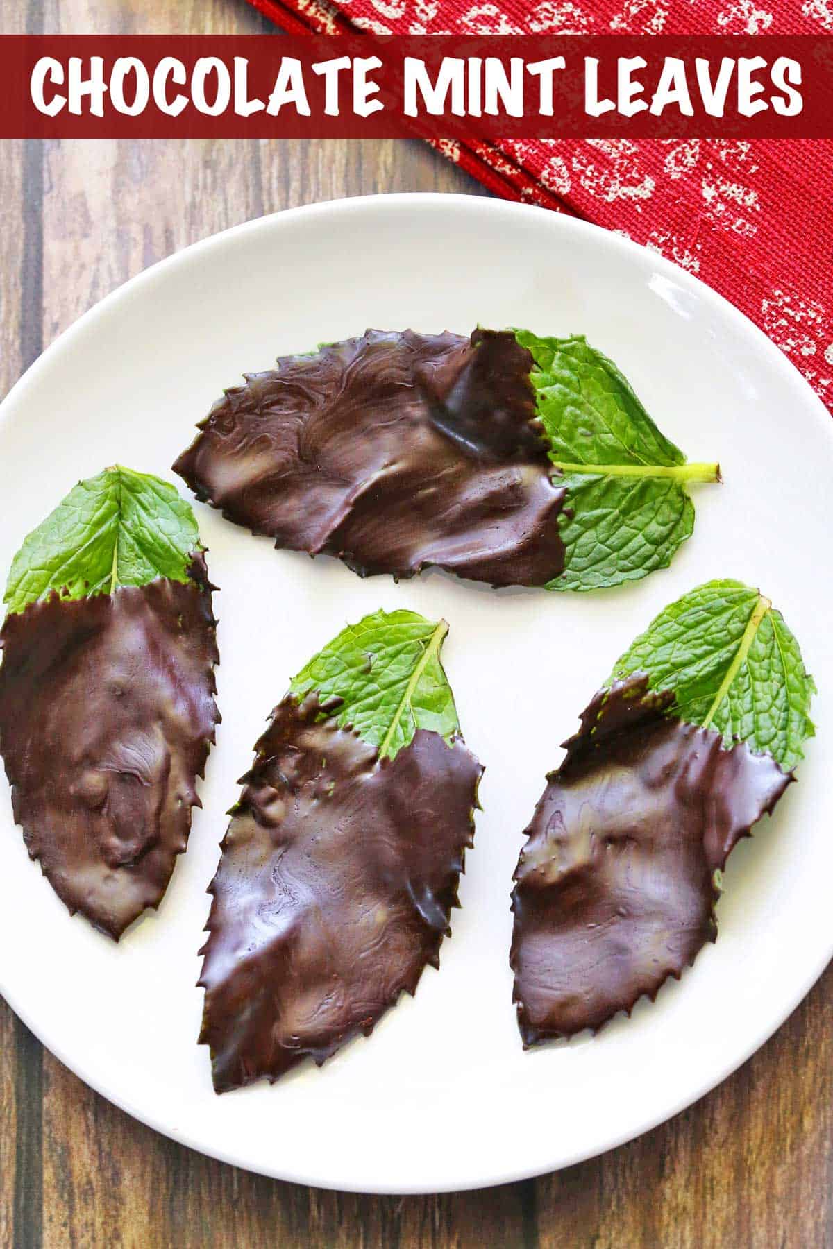 Chocolate-covered mint leaves served on a white plate with a red nakin.