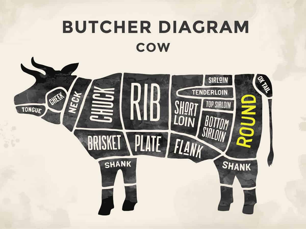 A cow parts diagram showing the round part of the animal.
