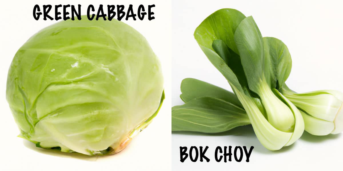 A two-photo collage showing the difference between a green cabbage and bok choy.