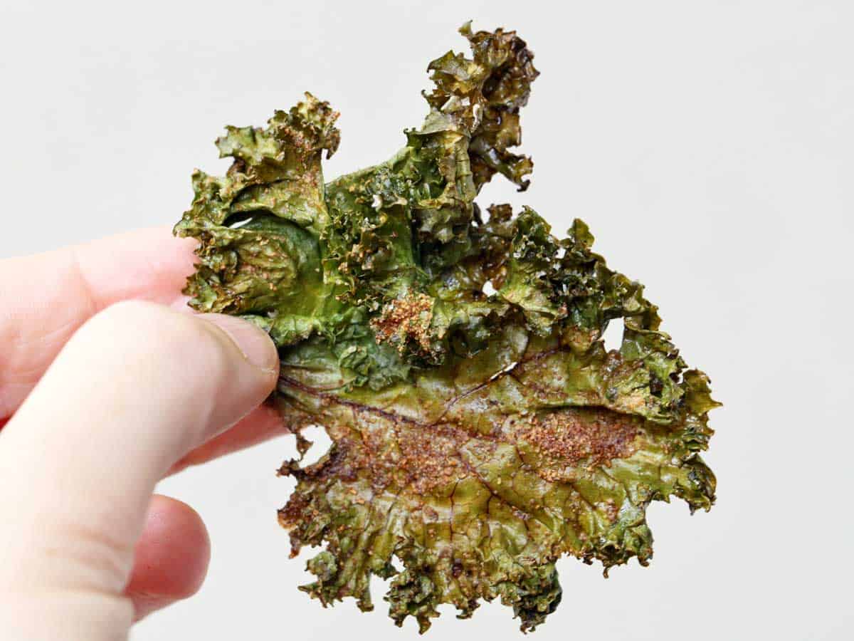 A hand holding a kale chip up in the air against a gray backdrop.
