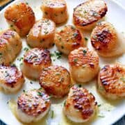 Seared scallops served on a white plate.