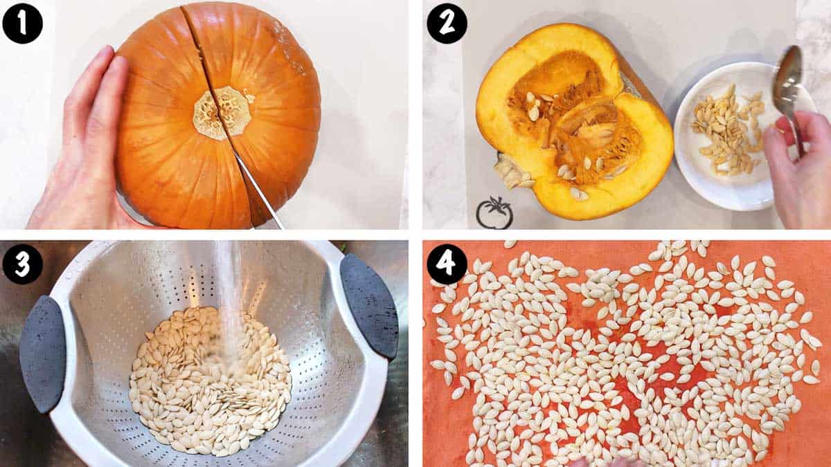 A photo collage showing steps 1-4 for roasting pumpkin seeds.