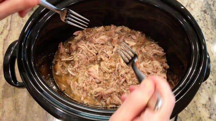 Shredding the pork with two forks.