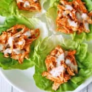 Buffalo chicken lettuce wraps served on a white plate.