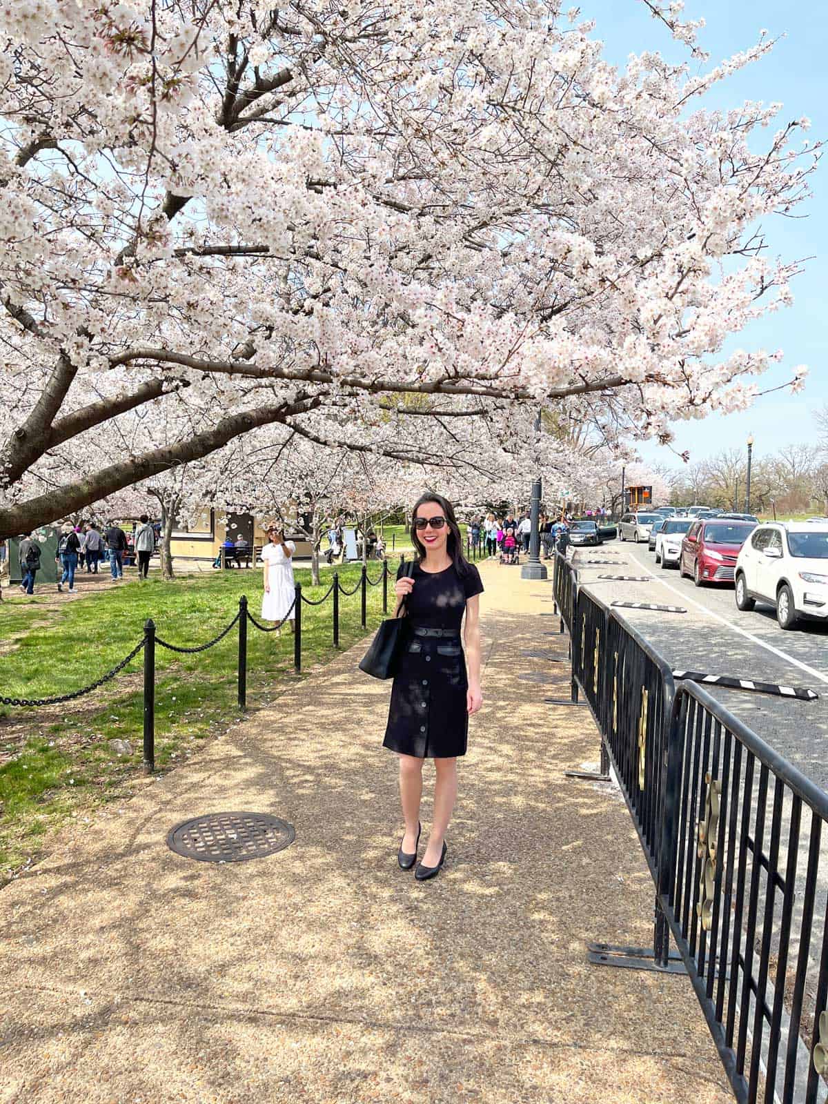 Vered DeLeeuw enjoying the cherry blossoms in Washington DC. 