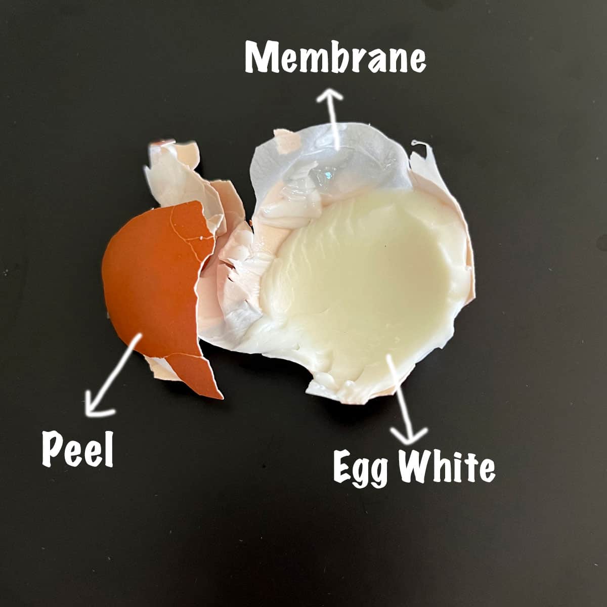 A peeled hard-boiled egg with its peel, inner membrane, and egg white.