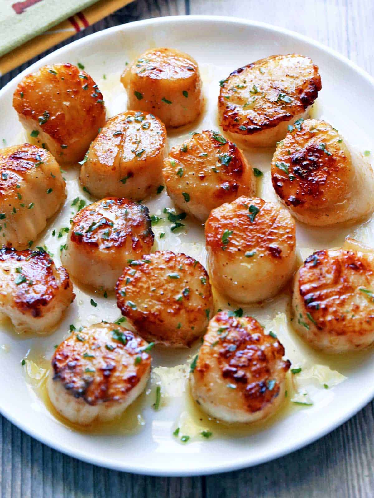 Seared scallops served on a white plate, topped with parsley. 