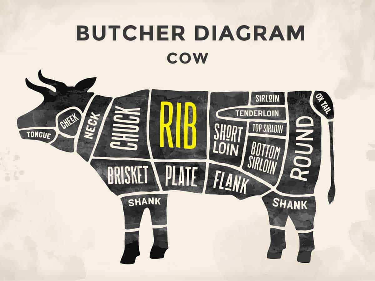 A diagram of cow parts