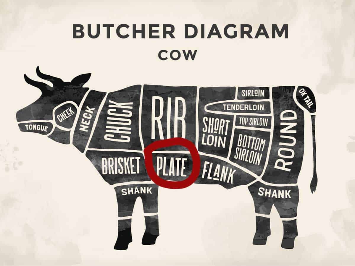A diagram of cow parts showing where beef bacon comes from