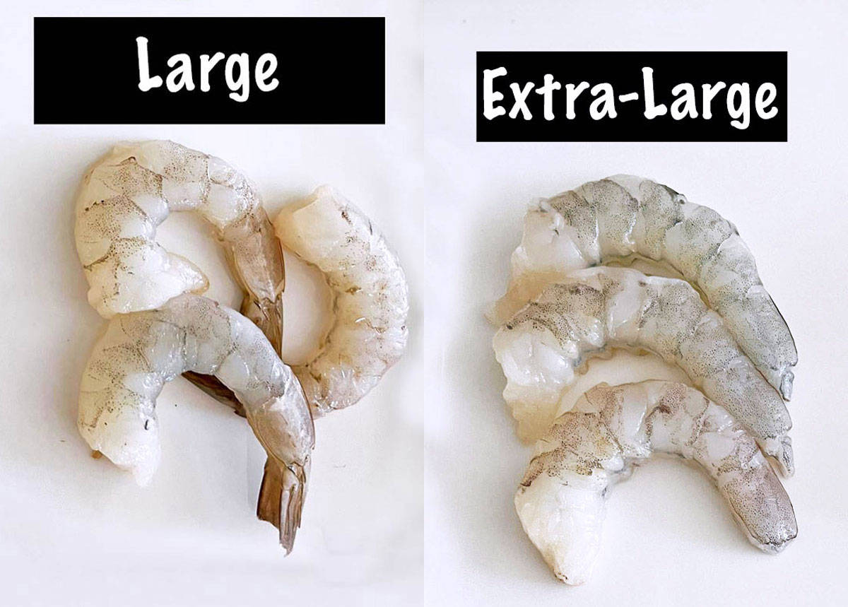 A two-photo collage comparing large and extra-large shrimp. 