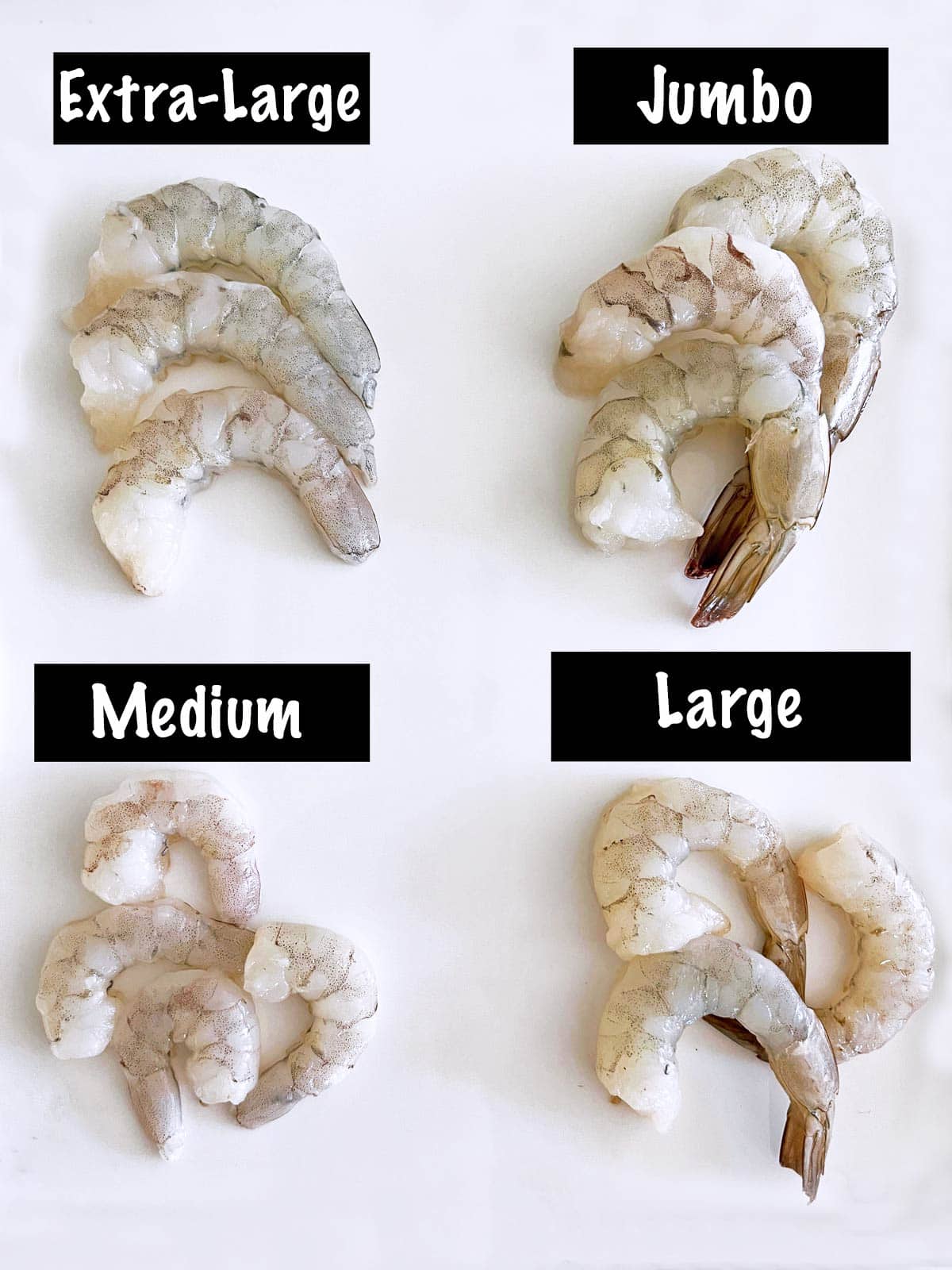 A visualization of four shrimp sizes: Medium, large, extra-large, and jumbo.  