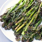 Roasted broccolini is served on a white plate.