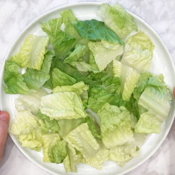 A plate lined with lettuce.
