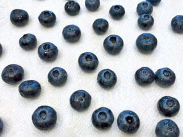 Drying the blueberries on paper towels.