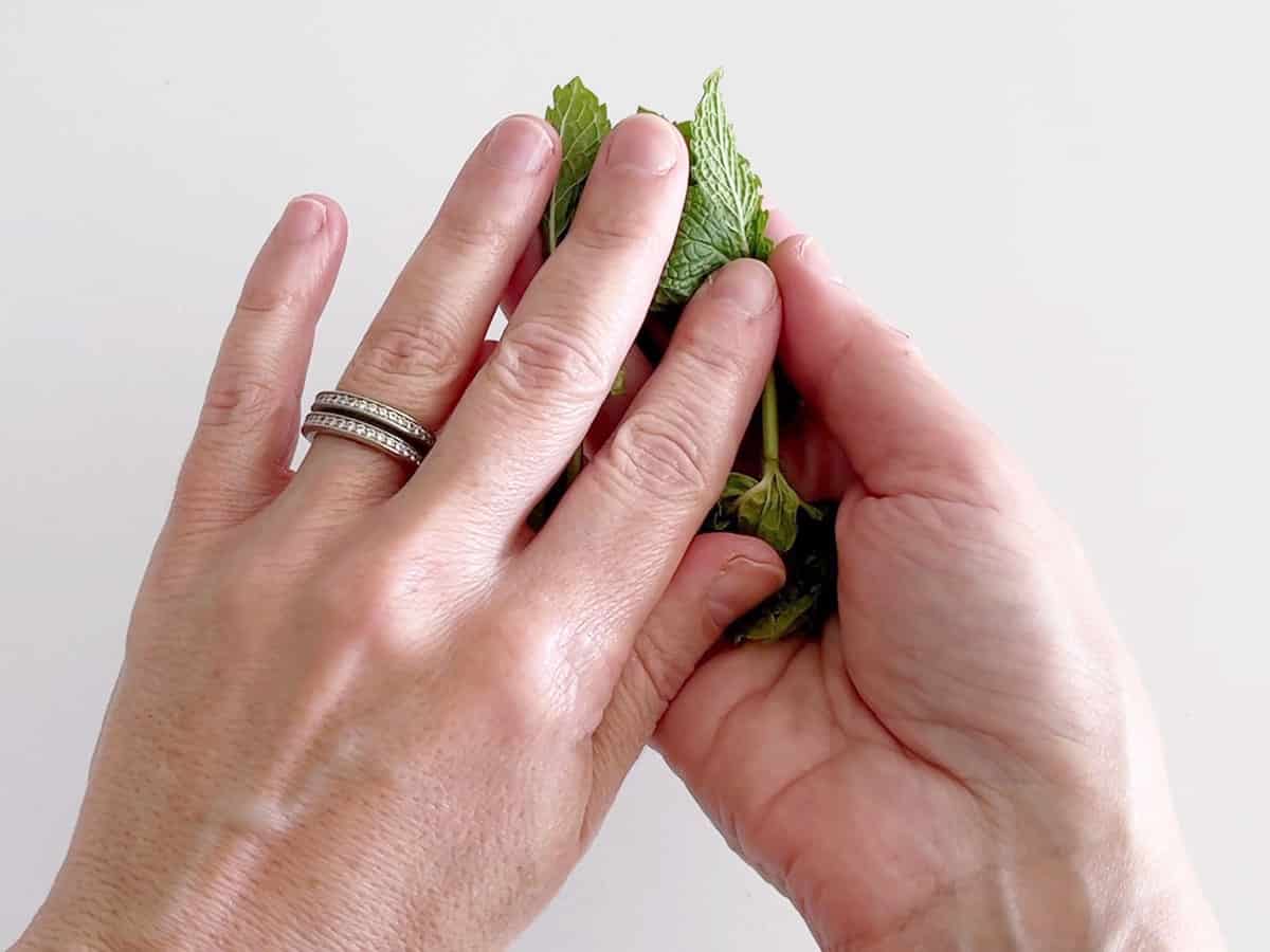 Rolling the mint leaves between fingers.