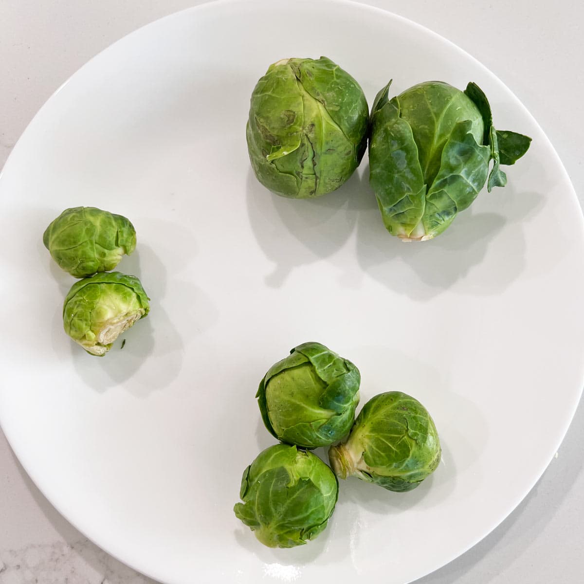 Different sizes of Brussels sprouts.