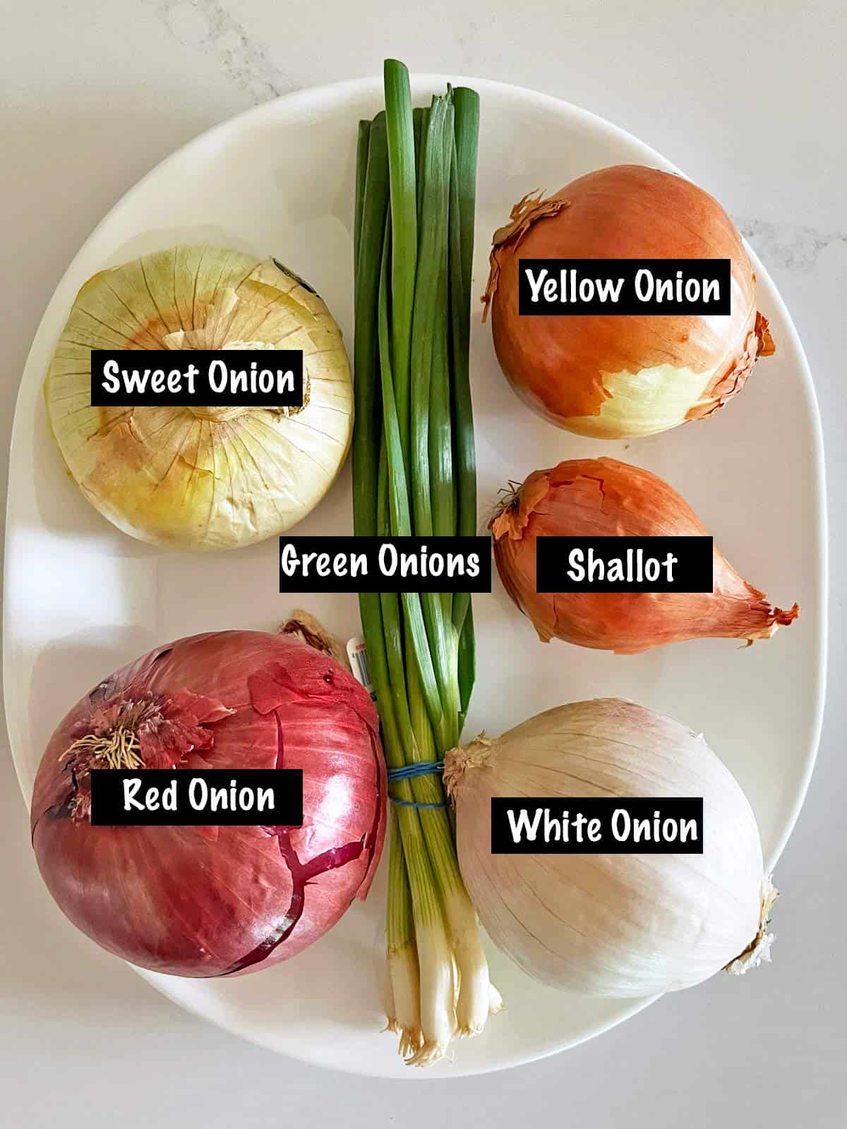 Six types of onions on a platter: yellow, white, red, sweet, green, and shallot.