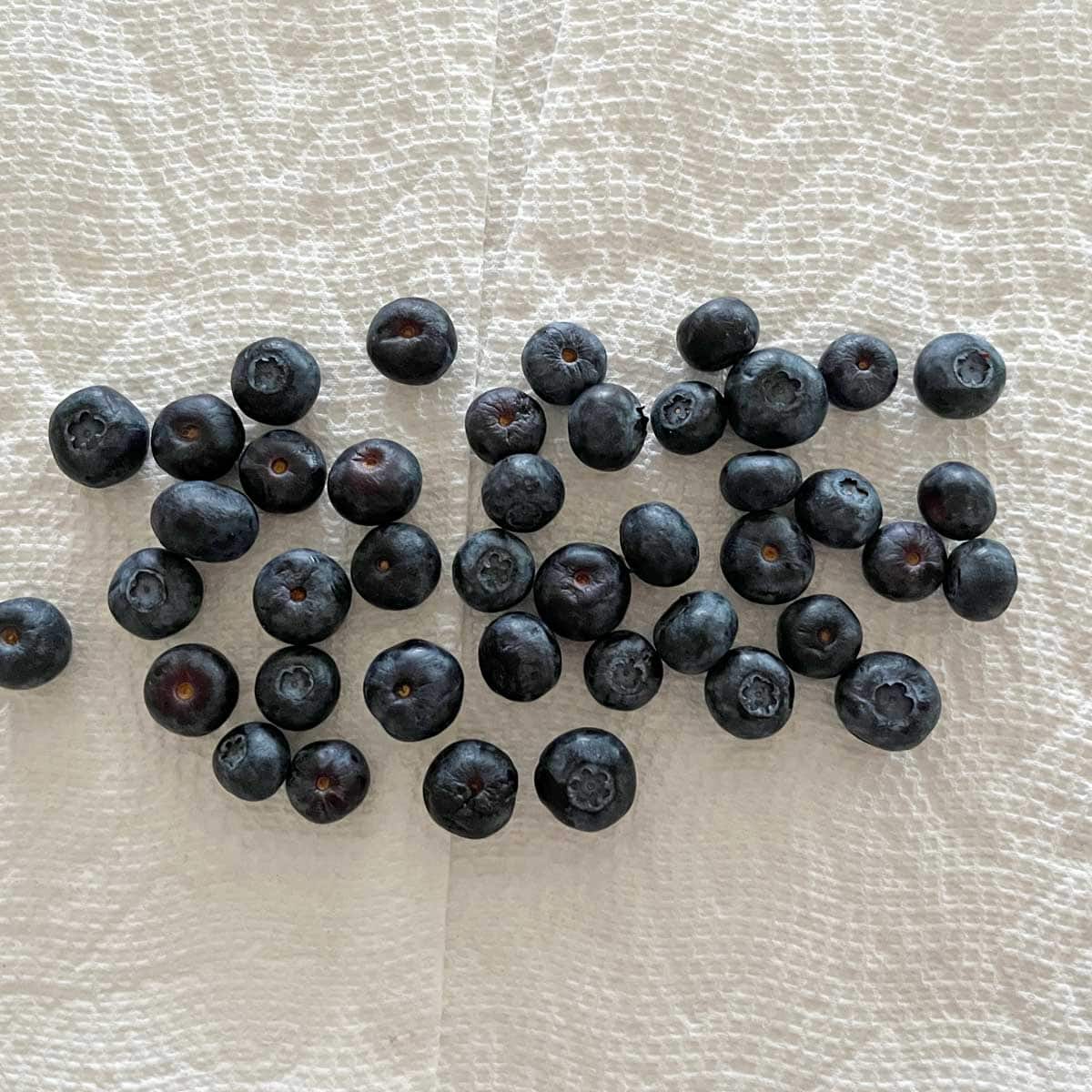 Drying blueberries on paper towels.