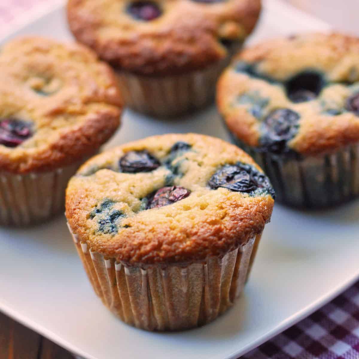 Almond flour muffins with blueberries.