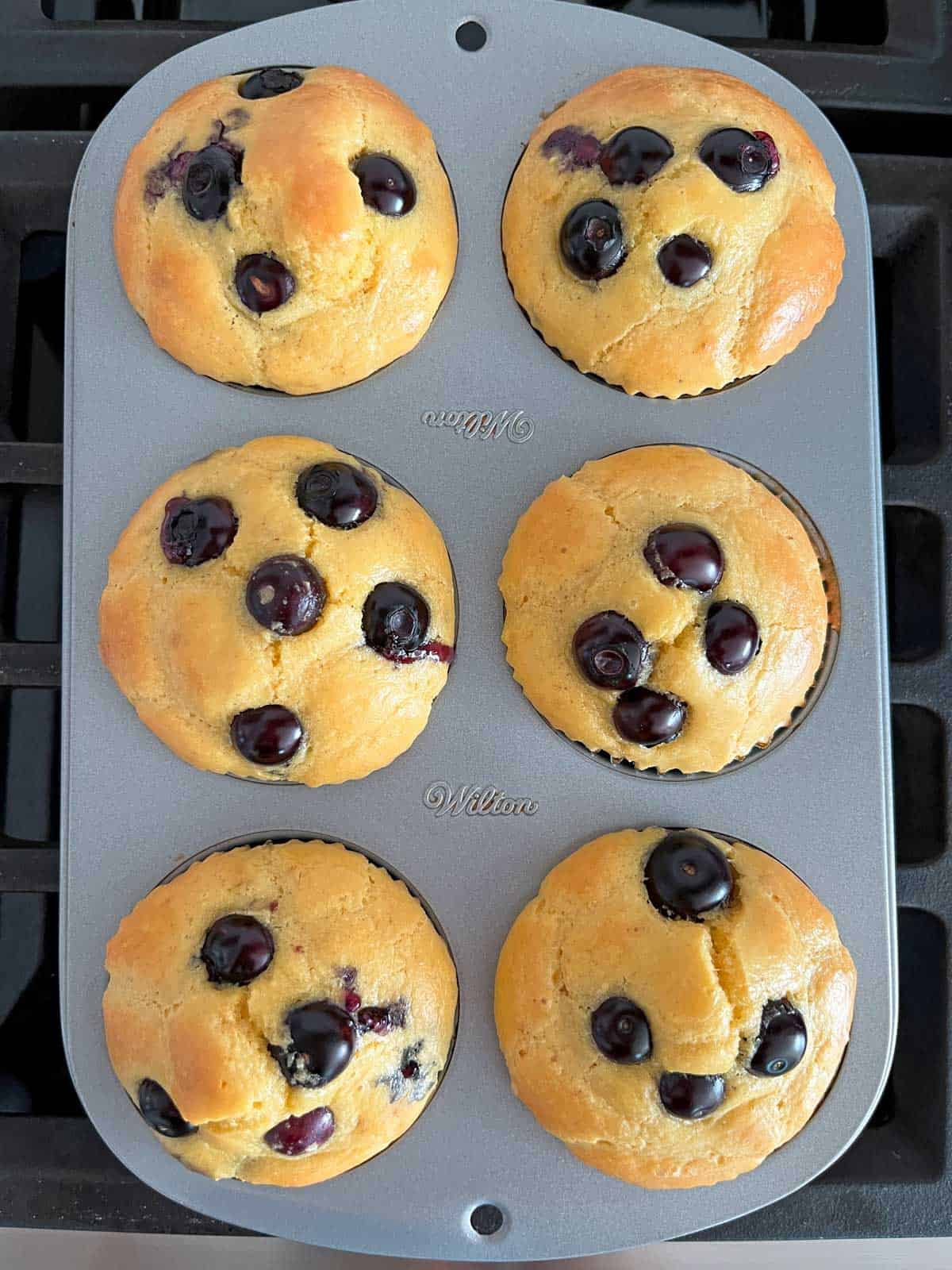 Six keto blueberry muffins in a baking pan.