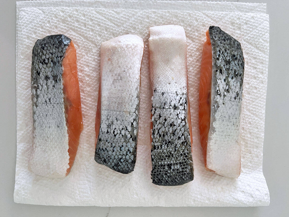 Blotting salmon filets dry on paper towels.