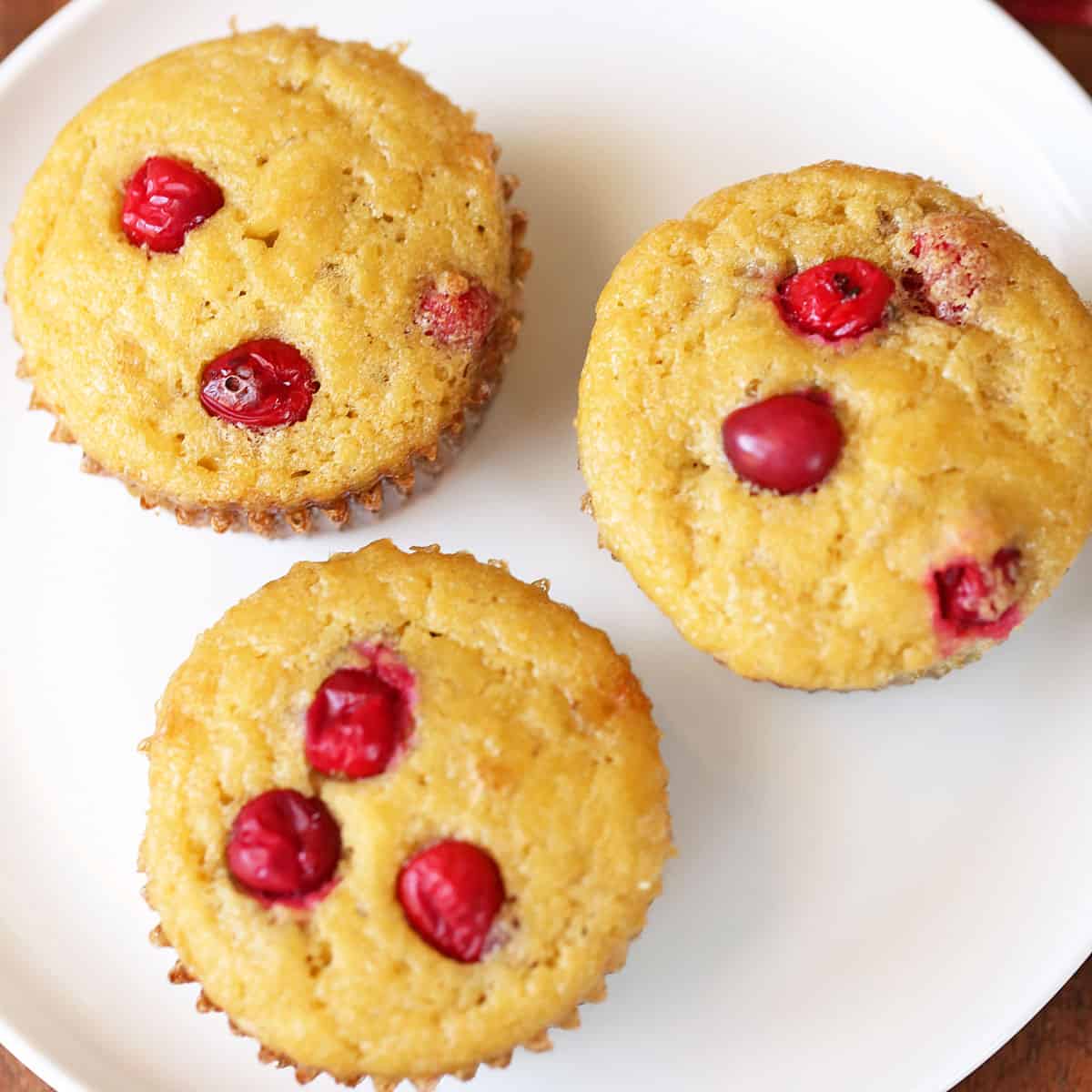 Coconut flour muffins with cranberries.